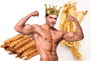 ถั่งเช่า king of herb